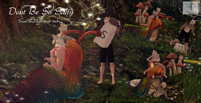 [DPSP] - Dont Be So Salty  