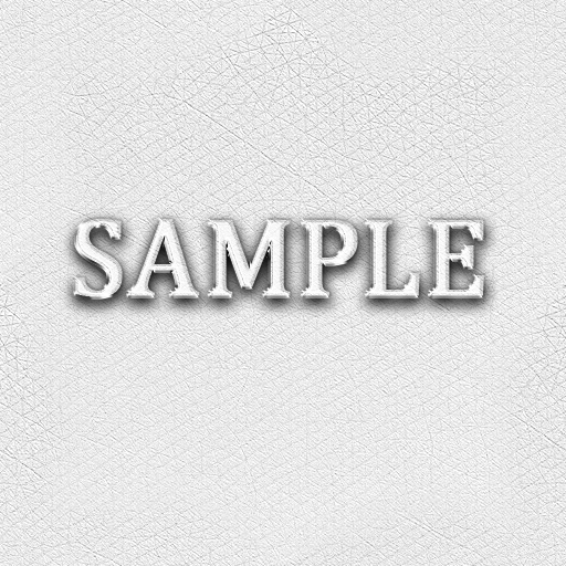 Zoy Texture [ Designers Leather Seamless 04 ] G