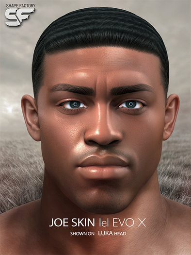 :::: SF. JOE  SKIN RICH   ::::