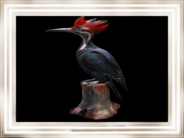 HB: Pileated Woodpecker Statue FULL PERM