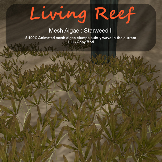 Inochi Reef : Mesh Algae "Starweed II"