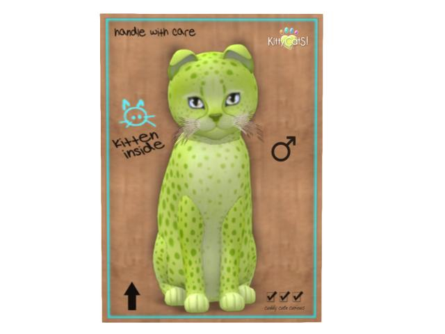 KittyCatS Box - 8T - M -  Cheetah! - Lime No. 2