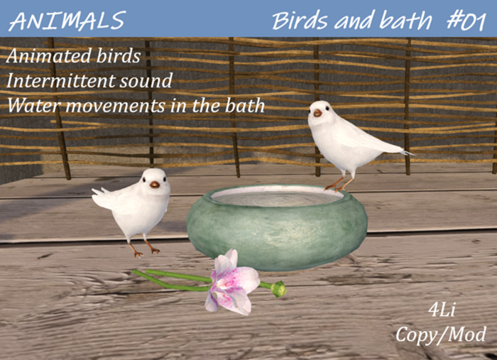 ANIMALS - Birds & bath #01