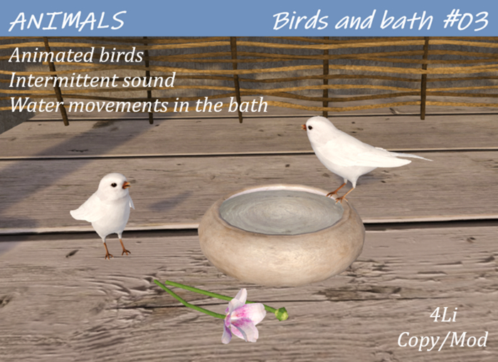 ANIMALS - Birds & bath #03