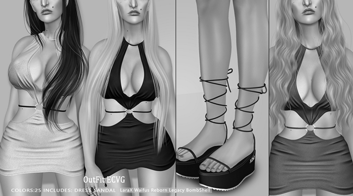 OutFit ECVG DEMO