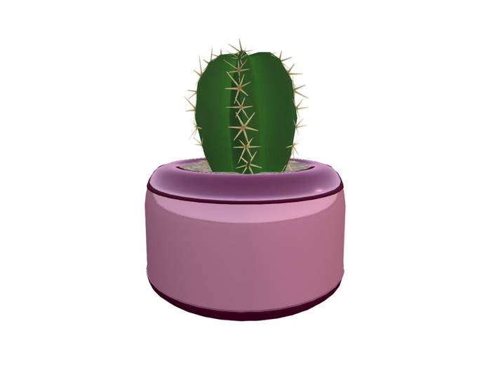 DTC - Cactus 2 -2 LI