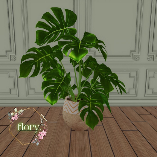 flory. - Monstera Plant v2