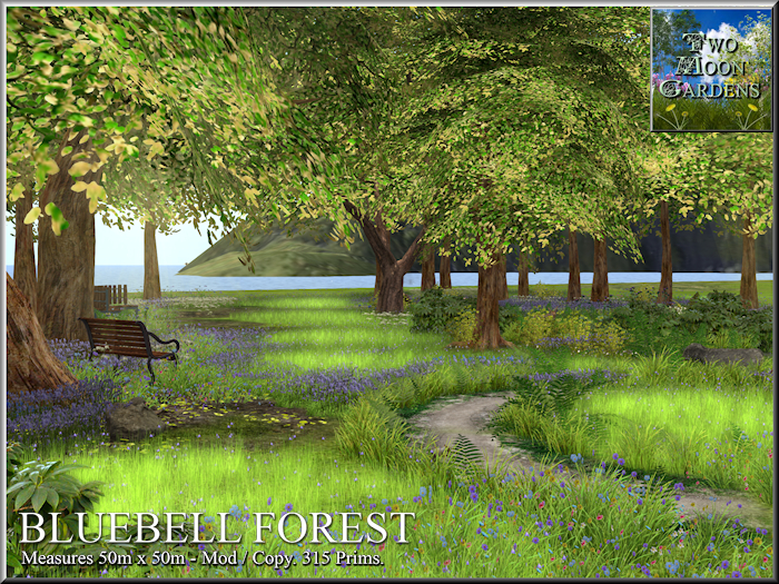 Garden|Bluebell Forest