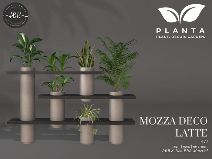 Planta - Mozza Deco Latte