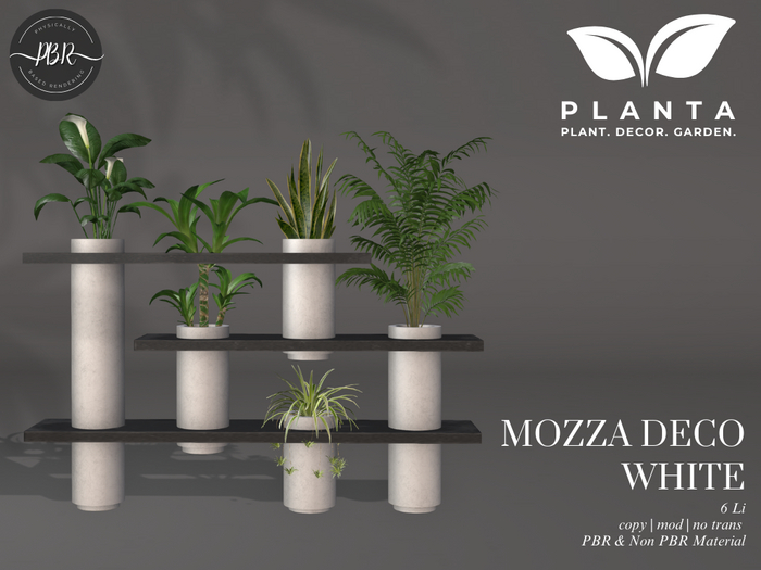 Planta - Mozza Deco White