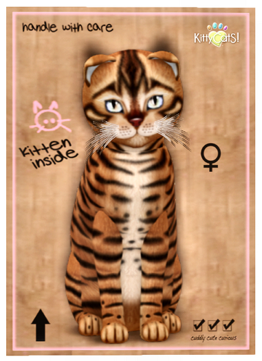 KittyCatS Box - Toyger - Caramel 9T F