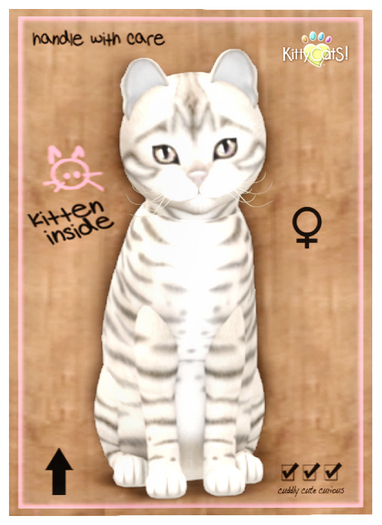KittyCatS Box - Toyger - Snow 9T F
