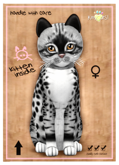 KittyCatS Box - Genesis - Bandit II Petite F