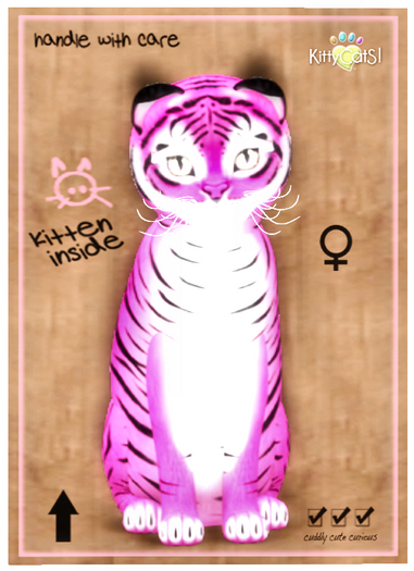 KittyCatS Box - Tiger! - BubbleGum 9T F