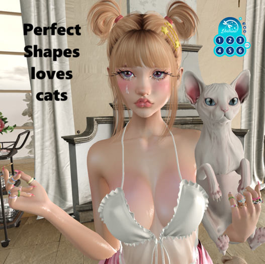 SEmotion Libellune Canadian Sphynx Holdable SPECIAL