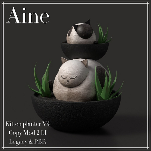 Aine - Kitten PLanter V4 (ADD)