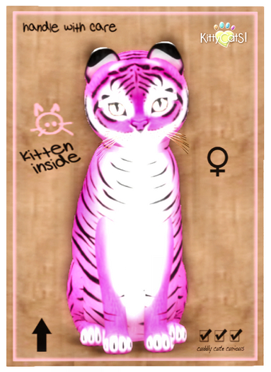 KittyCatS Box - Tiger! - BubbleGum 9T F