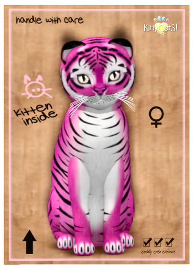 KittyCatS Box - Tiger! - BubbleGum 8T F