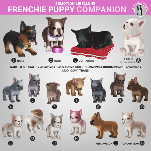SEmotion Libellune Frenchie Puppy Companion COMMON 07