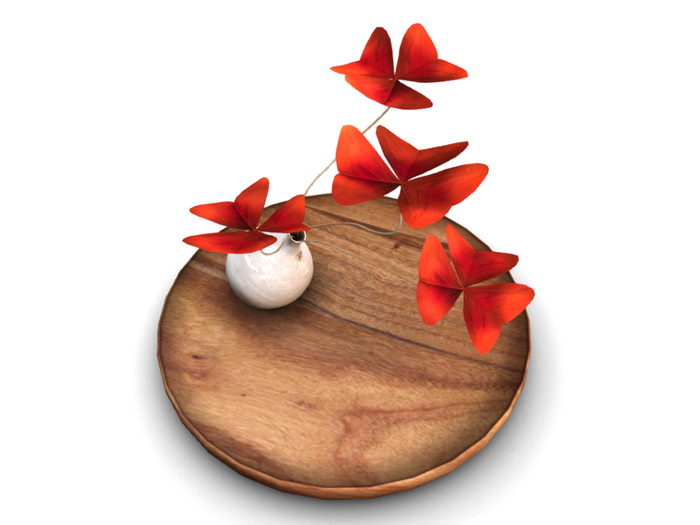 18_8f8 - Art of Nature - False Shamrock WOOD Box