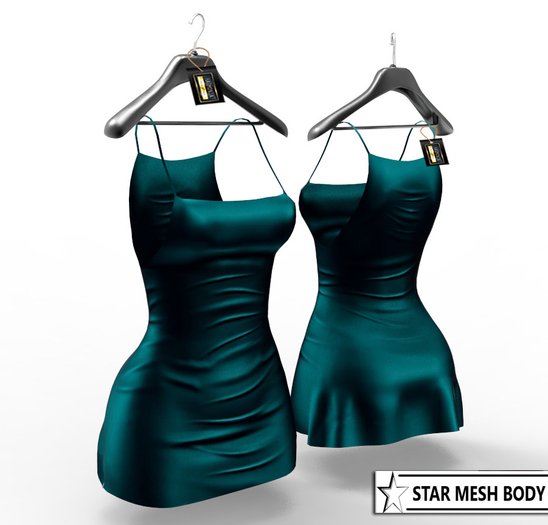 Star Body Dress