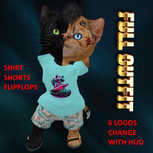 .::KS::.Dinkie-outfit-surfer