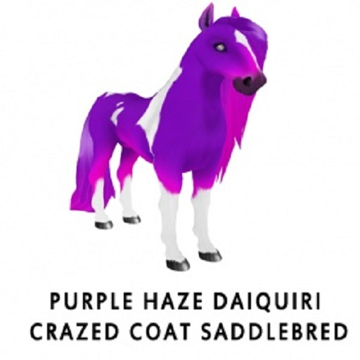 Purple Haze Daiquiri  F