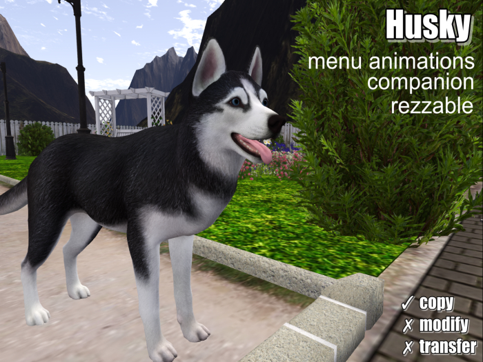 .:Bellart Studio:.Husky
