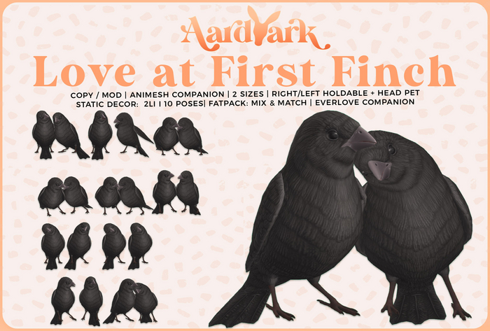 Aardvark : Love at First Finch - Black 