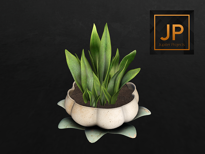 09.DD Layla Flower Pot Boxed