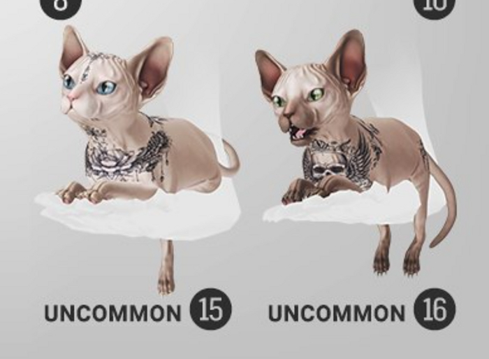 SEmotion Libellune Canadian Sphynx Holdable UNCOMMON 16