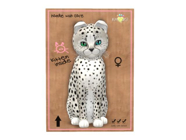 KittyCatS Box - 6T - F - Cheetah! - Maltese Black Chinchilla