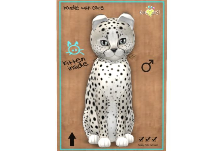 KittyCatS Box - 7T - M - Cheetah! - Maltese Black Chinchilla