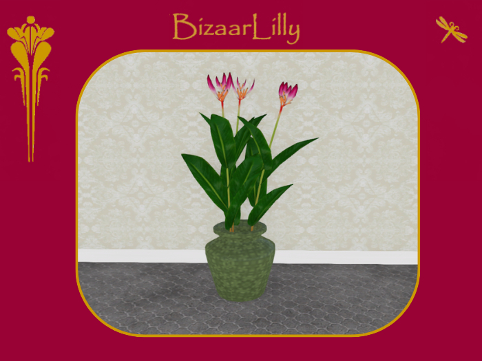 Oasis Potted Parrots Beak ~ Pink