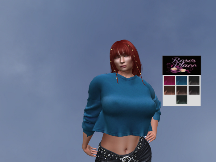 Bonnie's Cropped Sweaters (1)