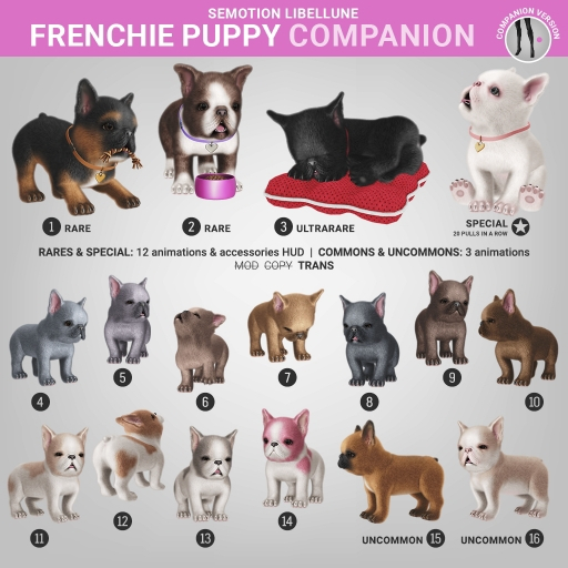 SEmotion Libellune Frenchie Puppy Companion RARE 01