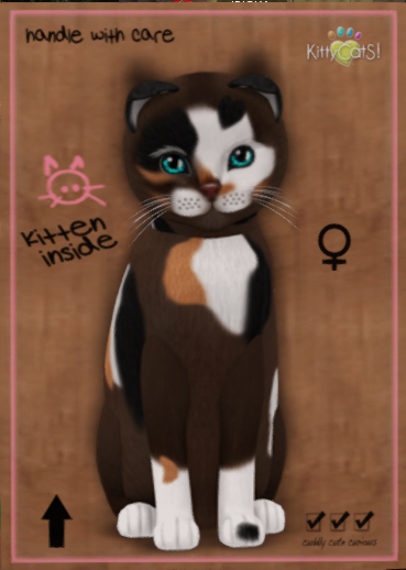 KittyCatS Box - New Born Kitten  634