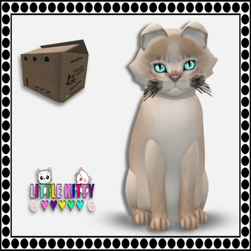 KittyCatS Box - Abyssinian - Lilac M