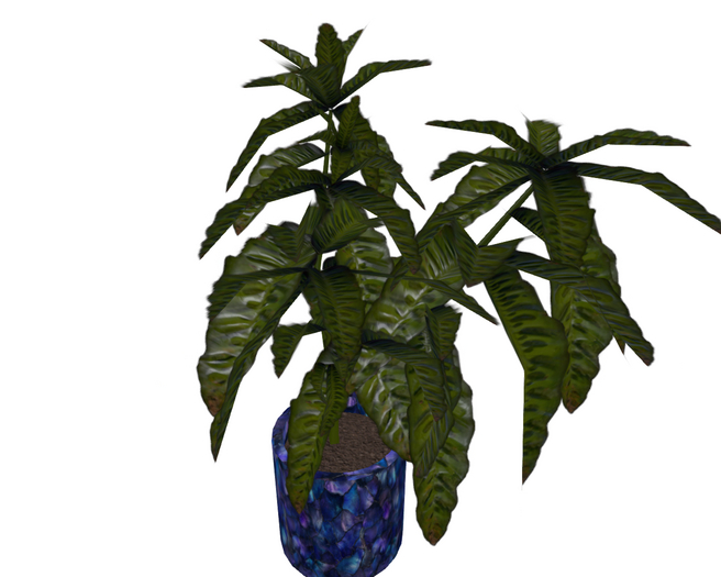Tropical Plant Islands Blue Designer Pot