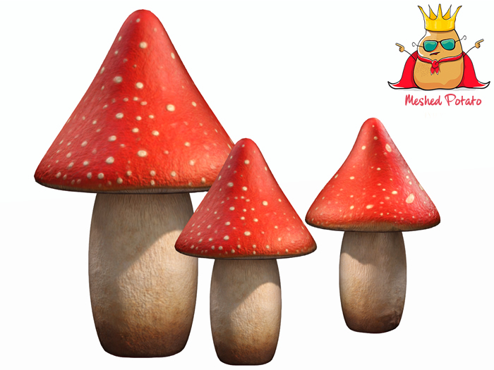  Mushroom Full Perm