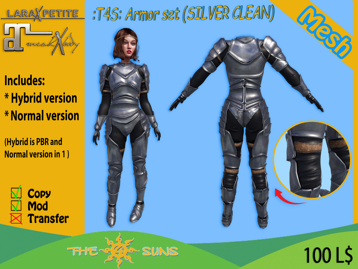 :T4S: Armor set (SILVER CLEAN) PetiteX