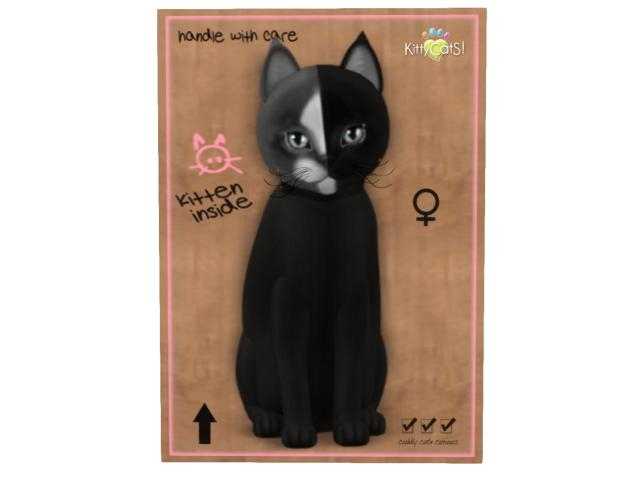 KittyCatS Box - 8T - F - Chimera - Black Grey