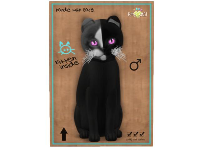 KittyCatS Box - 8T - M -  Chimera - Black Grey