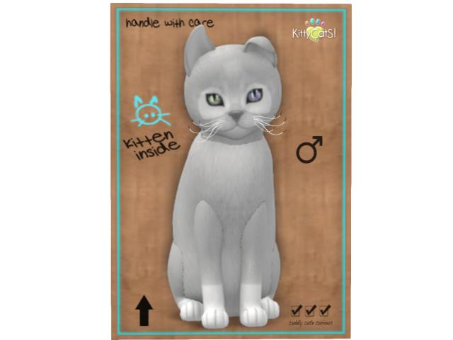 KittyCatS Box - 9T - M -  Pandie - Fog