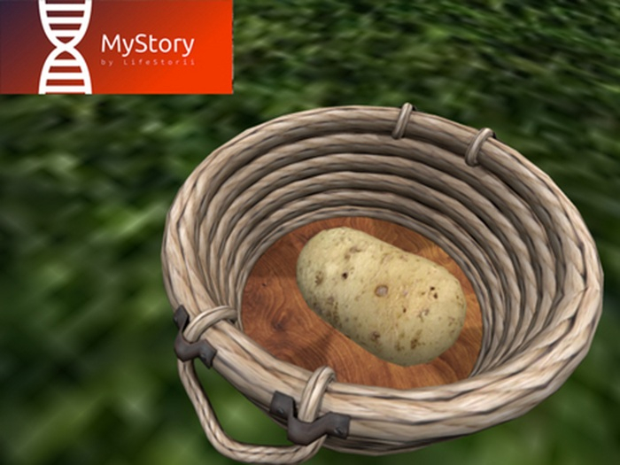 Potato - [MyStory]