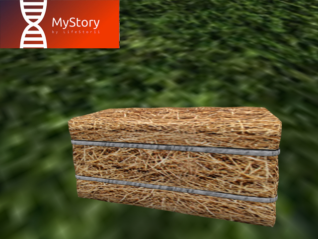 AnimalFeed - [MyStory]