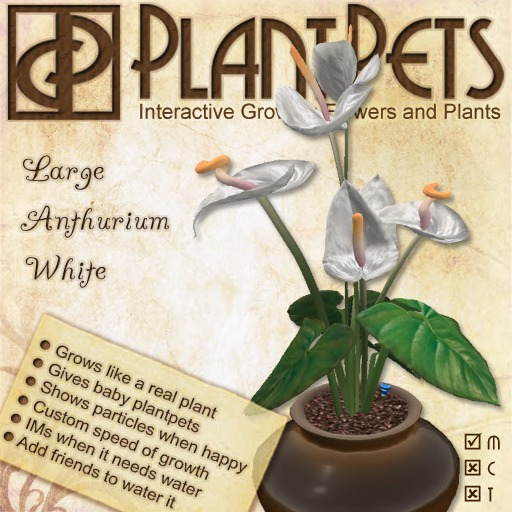 PlantPet Seed [Large Anthurium *White*]