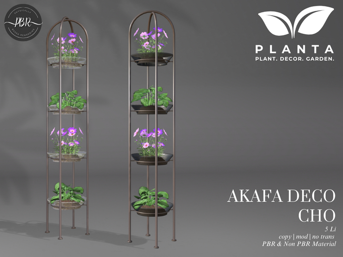 Planta - Akafa Deco Cho