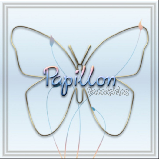 {Papillon} Cre/Sma/Str/Dit/410031/+/BToneF/Bright Terror