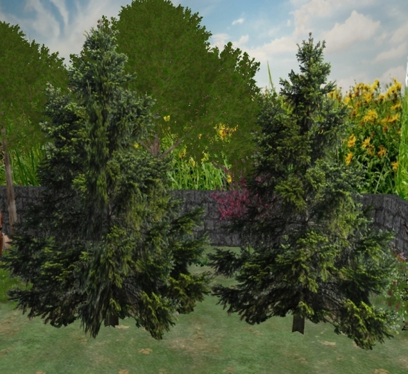  Pine Tree * 1 Prim